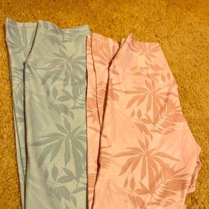 Pair of Ptula desaree’s